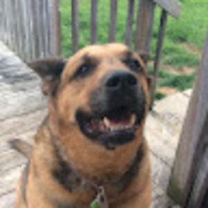 Meet your Posher, Chloe